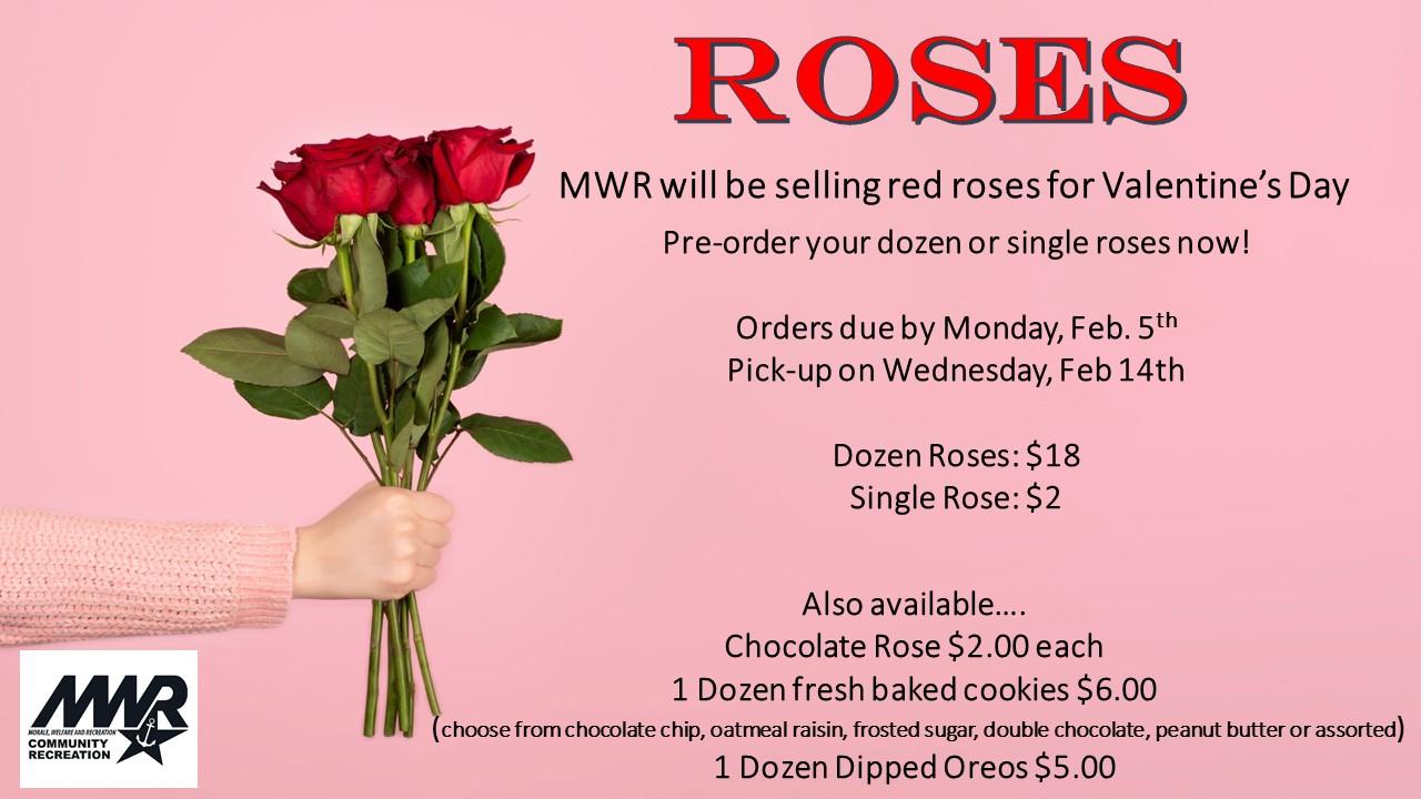 Roses 2024.jpg